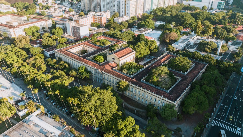 Auditoria, perícia e licenciamento ambiental